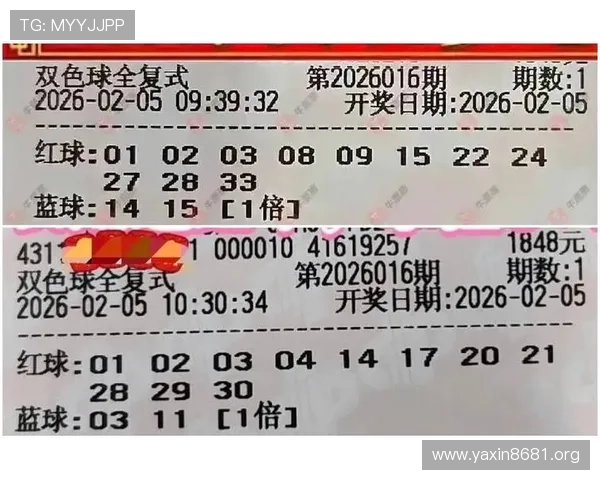 b体育平台深度解析:如何安全高效地进行体育投注 b体育平台深度解析:如何安全高效地进行体育投注